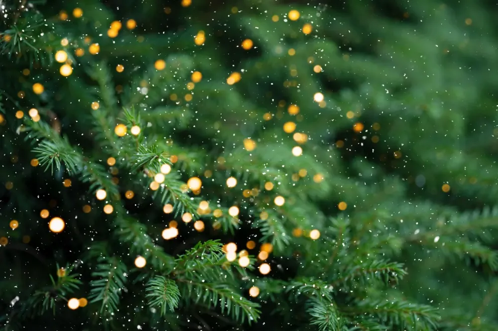 Fermeture Noël 2025